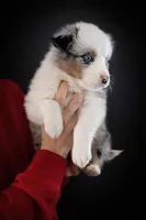 processed/971eeaa9-7952-4fbe-b64a-c356aed62da5/listing/697816c4-5d19-4890-a04b-b3cc8610aa1d/67e3880b-9564-40f1-970b-8f4b3425e339