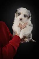 processed/971eeaa9-7952-4fbe-b64a-c356aed62da5/listing/697816c4-5d19-4890-a04b-b3cc8610aa1d/87ce44e3-c021-4d1a-bd9d-062217f02049