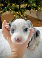 processed/971eeaa9-7952-4fbe-b64a-c356aed62da5/listing/697816c4-5d19-4890-a04b-b3cc8610aa1d/d986ed61-4d99-4164-9b0c-da844521bb10