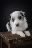 processed/971eeaa9-7952-4fbe-b64a-c356aed62da5/listing/697816c4-5d19-4890-a04b-b3cc8610aa1d/ea75cdeb-ae7c-4eef-ad8b-6a9de3997e5d