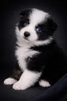 processed/971eeaa9-7952-4fbe-b64a-c356aed62da5/listing/d33bbd07-2a48-412b-8e05-e279e2dcd552/63f6c260-0c36-4e13-bbce-d43a5991e296