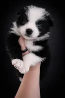 processed/971eeaa9-7952-4fbe-b64a-c356aed62da5/listing/d33bbd07-2a48-412b-8e05-e279e2dcd552/c4980a1f-3fd2-408a-a137-79c0c31c9168