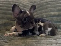 processed/972446b0-956b-48be-bb08-6dff8b244810/listing/4311d55b-80b7-4db8-b29c-a45ef13504bc/0784ccd5-f2d9-4cfd-aefa-c8886c0fb574