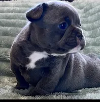 processed/972446b0-956b-48be-bb08-6dff8b244810/listing/4311d55b-80b7-4db8-b29c-a45ef13504bc/890b3fd1-96d9-4086-9238-05278b774c42