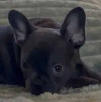 processed/972446b0-956b-48be-bb08-6dff8b244810/listing/4311d55b-80b7-4db8-b29c-a45ef13504bc/c6ca8608-8a87-4e1c-aad7-788abb4460fe