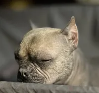 processed/972446b0-956b-48be-bb08-6dff8b244810/listing/7aab30d1-869e-4606-9870-aef32dba41a2/10b332cc-9768-4a13-8e77-8dbc0e87fdc3