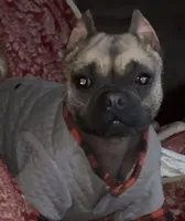 processed/972446b0-956b-48be-bb08-6dff8b244810/listing/7aab30d1-869e-4606-9870-aef32dba41a2/e945748c-5f80-4e95-af65-18cc78e4f1a6