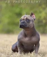 processed/972446b0-956b-48be-bb08-6dff8b244810/listing/7aab30d1-869e-4606-9870-aef32dba41a2/f439ad37-f691-4968-8afc-222828e72a47