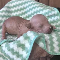 processed/972446b0-956b-48be-bb08-6dff8b244810/listing/9465f80f-5b9a-46b2-b583-e60293e5c23d/2c5b009a-c180-40f5-98a4-e1cd80377a0c