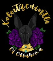 Lillith Mini, a female Xoloitzcuintli for sale in Oklahoma City, OK – 6 of 10