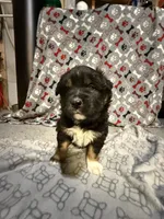 processed/97271e57-049a-4b99-afa8-f7ccea3ee12b/listing/7551a04d-5cb7-4d41-8f0a-badb4312242e/23d5ee54-123b-4bd8-9faa-74d5a6ba9c33