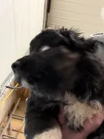 processed/97271e57-049a-4b99-afa8-f7ccea3ee12b/listing/7551a04d-5cb7-4d41-8f0a-badb4312242e/790093b6-b6af-4b91-ab69-fb836a1f50bb