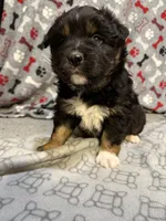 processed/97271e57-049a-4b99-afa8-f7ccea3ee12b/listing/7551a04d-5cb7-4d41-8f0a-badb4312242e/a10b2803-5166-48c3-9cb5-80675591a297