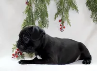 processed/9727a99e-5827-4221-99d7-d807bc8ee9ac/listing/68717d99-9292-42e8-bd1b-3f6e92f9364c/8593ab4f-af32-46ae-a970-343ed6d7b29b