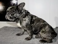 processed/9727a99e-5827-4221-99d7-d807bc8ee9ac/listing/68717d99-9292-42e8-bd1b-3f6e92f9364c/8d6c9821-2882-46e6-b16f-c11457f54e1a