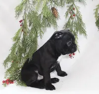 processed/9727a99e-5827-4221-99d7-d807bc8ee9ac/listing/68717d99-9292-42e8-bd1b-3f6e92f9364c/998bdac6-5edc-4022-9e81-6a9fc7de8f46