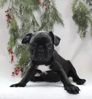 processed/9727a99e-5827-4221-99d7-d807bc8ee9ac/listing/68717d99-9292-42e8-bd1b-3f6e92f9364c/e51aa948-bd9e-482f-8f2b-966db9b2a327