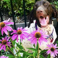 processed/97291bc1-d67e-4061-a021-b6c0e0834ec9/facility/98bd9089-6bae-4c9e-86af-06ad6488727b