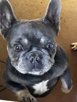 processed/97321261-51e1-4eed-9f34-38a259a24f0a/listing/fdee96bf-cee2-4e3e-ab25-6a57130e1b80/48c30dda-9c1a-46ef-9ac7-c69a5befc995