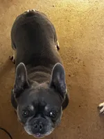 processed/97321261-51e1-4eed-9f34-38a259a24f0a/listing/fdee96bf-cee2-4e3e-ab25-6a57130e1b80/c8387b48-2091-4beb-b6f7-0bdd046826d6