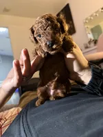 processed/973776a6-2846-48a3-ae81-8fc3dbbf5eb4/facility/9929a976-c024-4b2e-a5ec-94bb6a40e3df