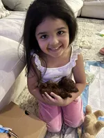 processed/973776a6-2846-48a3-ae81-8fc3dbbf5eb4/facility/d262e0b6-f7aa-4c4c-82ff-fd2c1381f924