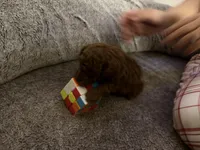 processed/973776a6-2846-48a3-ae81-8fc3dbbf5eb4/facility/e7c418fb-8429-488f-87e9-0f6c1255e6d6