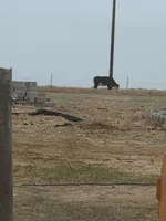 processed/97534403-665d-496b-81a5-8f26a2a2c51a/facility/0f68c62a-d69b-4da9-992e-6d2c8388fe02