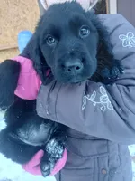 processed/9754b309-544f-4c0e-bbdd-c310ed23eec8/listing/b7e50069-7bb3-4e8e-93fd-676d1d592939/097edc5e-9fb7-41ec-b62d-ad6be018b020