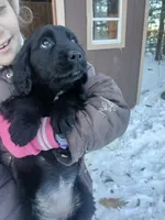 processed/9754b309-544f-4c0e-bbdd-c310ed23eec8/listing/b7e50069-7bb3-4e8e-93fd-676d1d592939/102da3d0-450b-4507-ae4d-eb8cf234f112