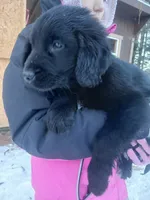 processed/9754b309-544f-4c0e-bbdd-c310ed23eec8/listing/b7e50069-7bb3-4e8e-93fd-676d1d592939/b143c9bf-3553-4bcb-8418-413af23c8fcd