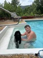 Caroline, a female Goldendoodle for sale in Cleveland, GA – 3 of 3