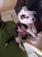 processed/975866eb-6df1-456e-989d-bae808496cc1/listing/41d0bddf-563c-4d0a-8f77-540de342691c/a9db2eef-3e93-4250-934c-dc2f9e19e5bd