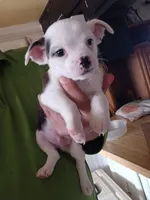 processed/975866eb-6df1-456e-989d-bae808496cc1/listing/41d0bddf-563c-4d0a-8f77-540de342691c/b0092f97-6622-423e-965c-a15ca7873530