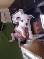 processed/975866eb-6df1-456e-989d-bae808496cc1/listing/41d0bddf-563c-4d0a-8f77-540de342691c/fc36e9e4-ceec-41f4-b5e4-b92176b792c4