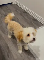 processed/9758adbb-8b3d-4646-8517-5e92d7a6e8ab/listing/c0b330fa-539e-4638-a9a1-8b6505014f34/47577ff7-1fa5-4671-bc70-d431c7e39069