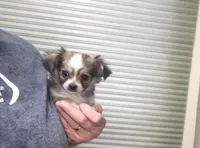 processed/97617942-c4ce-489c-b3d1-4143b4d2d47f/listing/6c88e7aa-3af2-417c-92dd-8c6ca2d4ffbf/3f5b7986-b4e3-4028-aa37-d2d036caf426