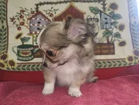 processed/97617942-c4ce-489c-b3d1-4143b4d2d47f/listing/6c88e7aa-3af2-417c-92dd-8c6ca2d4ffbf/a609f97c-677f-4ff7-9e51-ad7050be9412