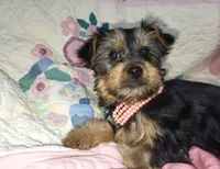 processed/97617942-c4ce-489c-b3d1-4143b4d2d47f/listing/97f48c30-7ad4-486d-b838-1afd3584822d/5b09c8e5-d73b-4851-af0b-2d5a751028ab