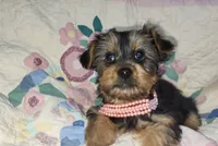 processed/97617942-c4ce-489c-b3d1-4143b4d2d47f/listing/97f48c30-7ad4-486d-b838-1afd3584822d/617122ad-4419-4747-9ef0-252a31a953d4