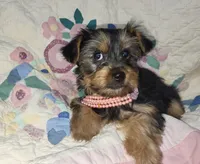 processed/97617942-c4ce-489c-b3d1-4143b4d2d47f/listing/97f48c30-7ad4-486d-b838-1afd3584822d/dbfc591c-4fc3-4587-95c3-7d16bcf89983