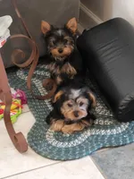 processed/97617942-c4ce-489c-b3d1-4143b4d2d47f/listing/da3d24e4-44b3-49e4-a1ac-0d0300e25bd9/25d52a5c-f6f4-4b80-afbe-49bbd7fd3f21