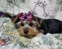 processed/97617942-c4ce-489c-b3d1-4143b4d2d47f/listing/da3d24e4-44b3-49e4-a1ac-0d0300e25bd9/5af3a0b7-4e8b-42ae-8d43-caacee57b1ff