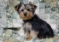 processed/97617942-c4ce-489c-b3d1-4143b4d2d47f/listing/da3d24e4-44b3-49e4-a1ac-0d0300e25bd9/77e85896-70ed-41d5-bb60-c9f984062344