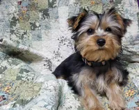 processed/97617942-c4ce-489c-b3d1-4143b4d2d47f/listing/da3d24e4-44b3-49e4-a1ac-0d0300e25bd9/7f0ab28d-0252-4eb1-a9e7-fd644fc1280c