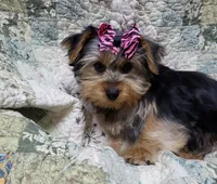 processed/97617942-c4ce-489c-b3d1-4143b4d2d47f/listing/da3d24e4-44b3-49e4-a1ac-0d0300e25bd9/9a40181c-100a-4b0e-9124-d4f4881de340