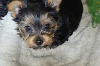 processed/97617942-c4ce-489c-b3d1-4143b4d2d47f/listing/db7bf6af-75bb-4256-abe6-cfc5fd38747c/1ed13372-cdce-4225-bbe0-3880aad69494