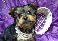 processed/97617942-c4ce-489c-b3d1-4143b4d2d47f/listing/db7bf6af-75bb-4256-abe6-cfc5fd38747c/93fa1e68-ae19-4e36-a19f-9b789fbd45e5