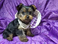 processed/97617942-c4ce-489c-b3d1-4143b4d2d47f/listing/db7bf6af-75bb-4256-abe6-cfc5fd38747c/cb24d828-ee1e-4283-a261-bb34d7d0c21d