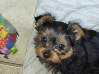 processed/97617942-c4ce-489c-b3d1-4143b4d2d47f/listing/db7bf6af-75bb-4256-abe6-cfc5fd38747c/f011176b-0bb1-48f4-94e7-095570ed1159